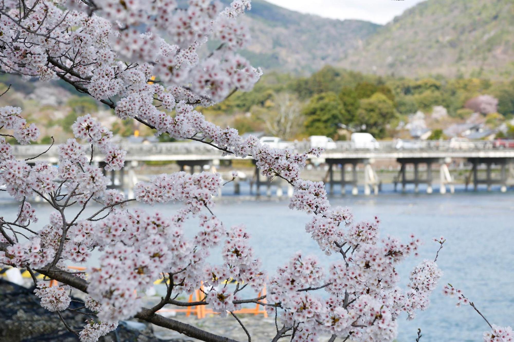 Kyoto Arashiyama Onsen Ryokan Togetsutei Ngoại thất bức ảnh